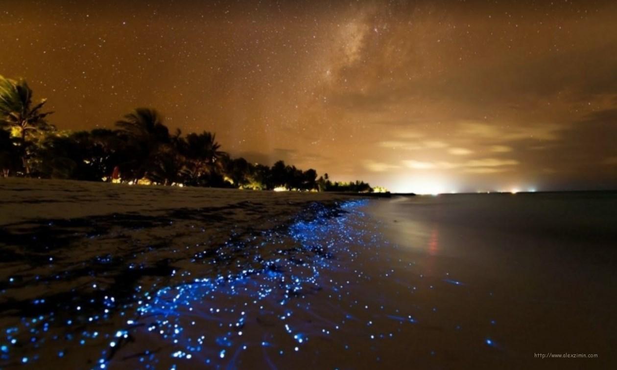 Светящийся планктон на Мальдивах остров Vaadhoo 